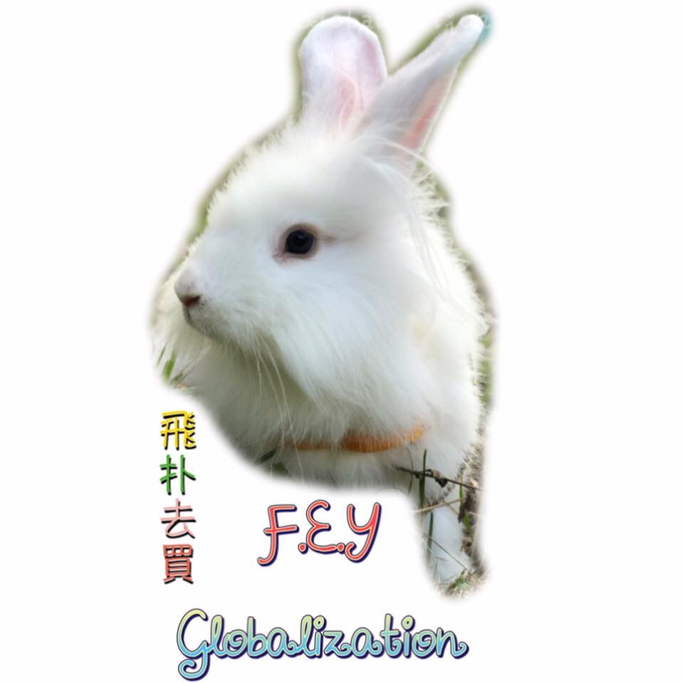 F.E.Y Globalization 飛扑去買
